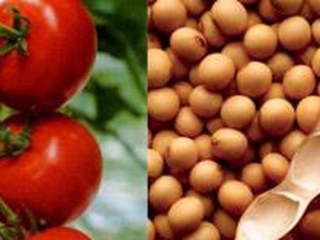 Kết hợp hai thực phẩm này sẽ ngăn ngừa ung thư tuyến tiền liệt