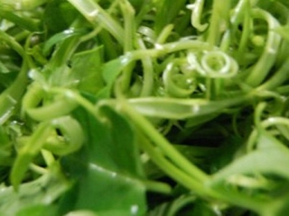 Ăn rau muống chưa chín sẽ bị xơ gan?